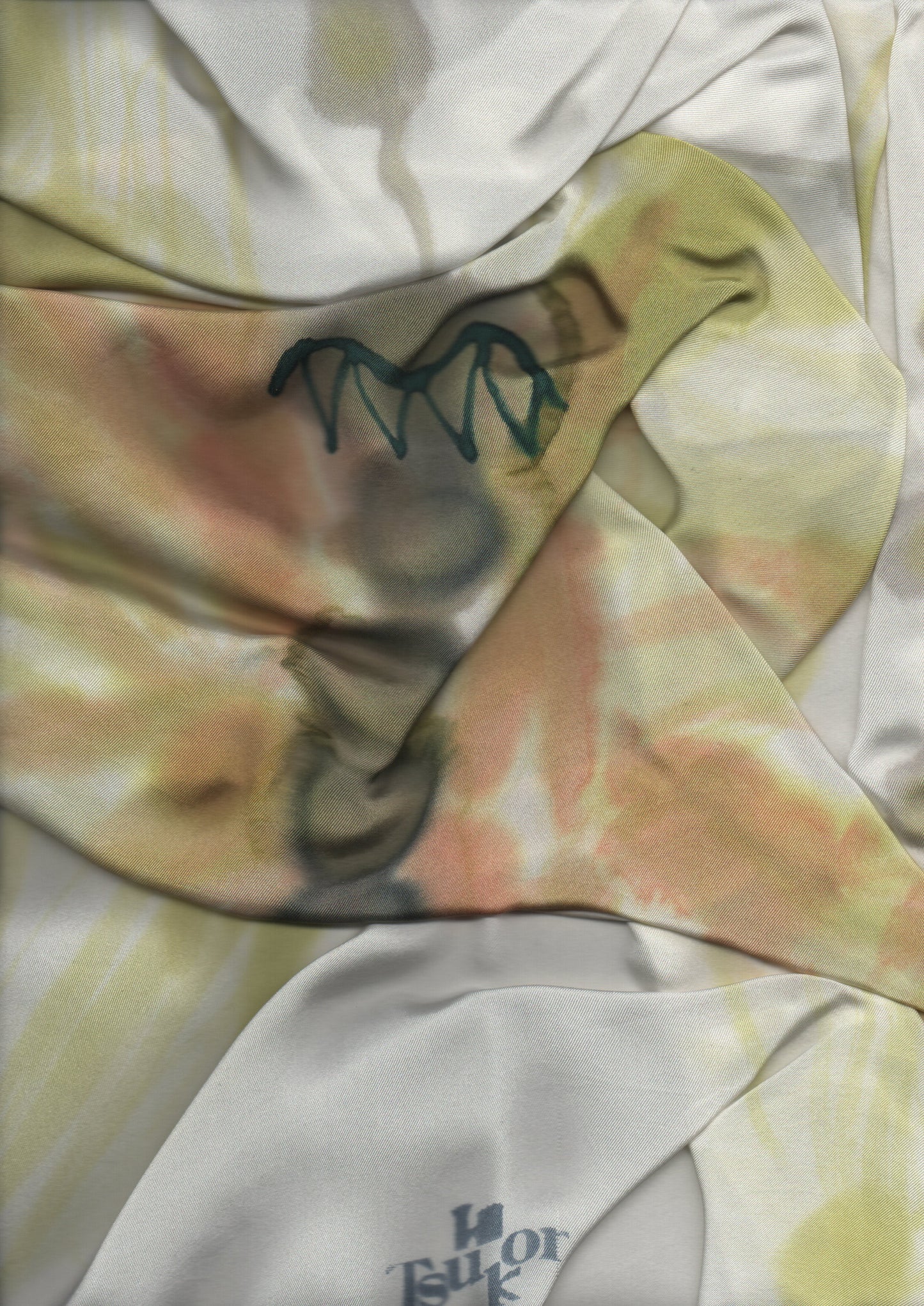 butterfly scarf